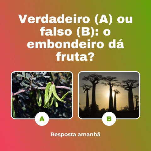 Pré-visualização do modelo Quiz: verdadeiro ou falso (Memes & Entretenimento)