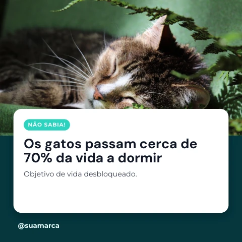 Pré-visualização do modelo Curiosidade divertida (Memes & Entretenimento)