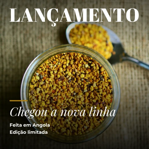 Pré-visualização do modelo Lançamento de produto (Marketing)