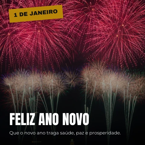 Pré-visualização do modelo 1 de Janeiro - Ano Novo (Eventos & Datas)