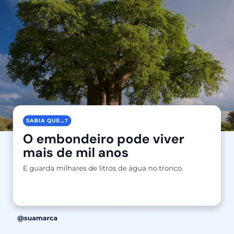 Pré-visualização do modelo Sabia que…? (Redes sociais)