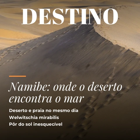 Pré-visualização do modelo Destino da semana (Redes sociais)