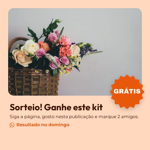 Pré-visualização do modelo Sorteio (Redes sociais)