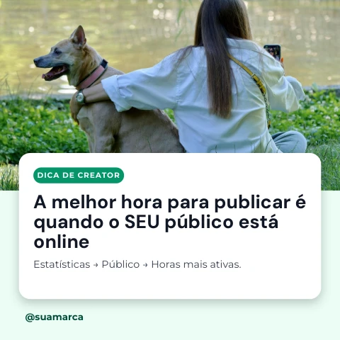 Pré-visualização do modelo Dica: melhor hora para publicar (Creator)