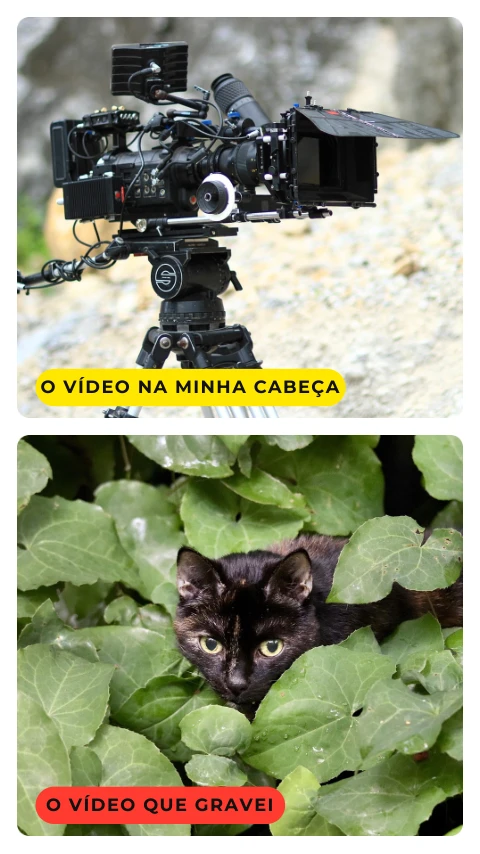 Pré-visualização do modelo Expectativa vs realidade do creator (Creator)